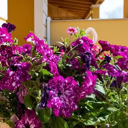 Σπίτι διακοπών Corfu Ariti *